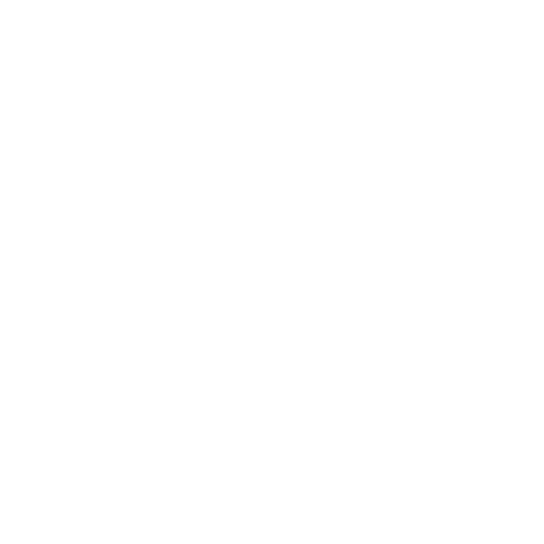 videoPlayGif